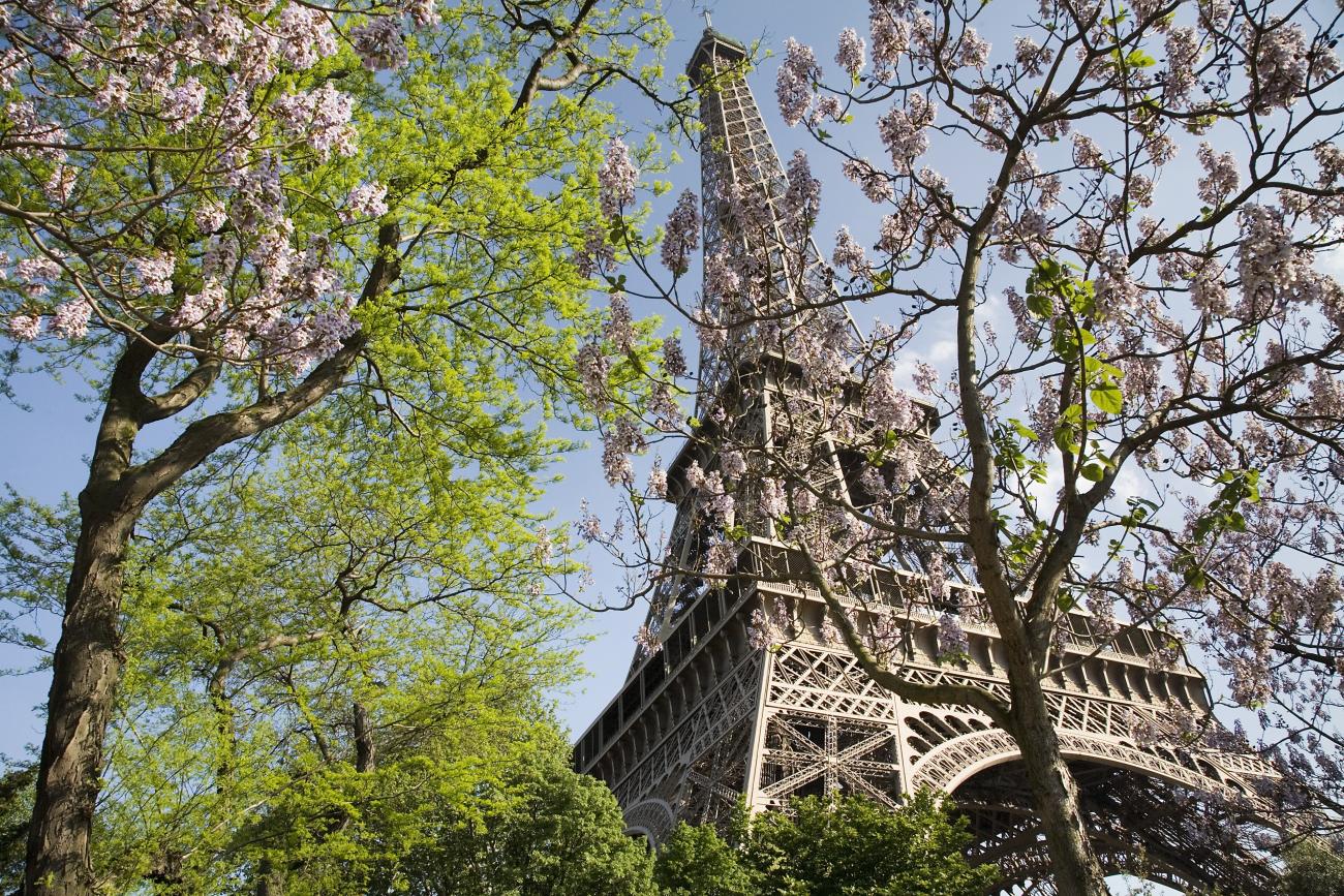 Double Degree Paris Cité